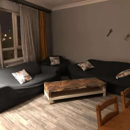 Apartment 1+1 Flat With Kitchen In Kizilay Square Ankara
