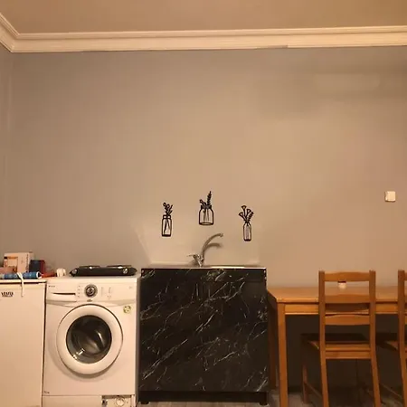 Apartment 1+1 Flat With Kitchen In Kizilay Square Ankara