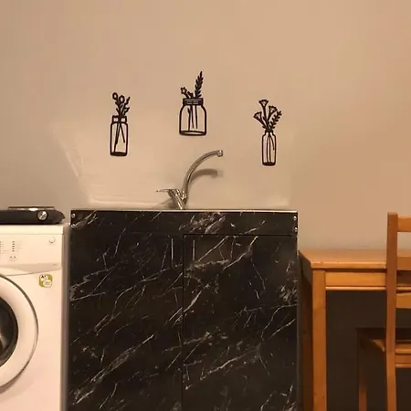 Apartment 1+1 Flat With Kitchen In Kizilay Square Ankara