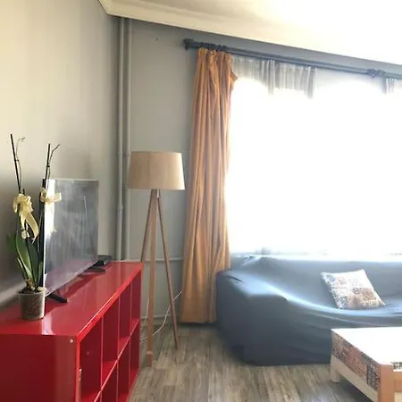 Apartment 1+1 Flat With Kitchen In Kizilay Square Ankara